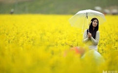 AI明星造梦成果李沁五十分钟